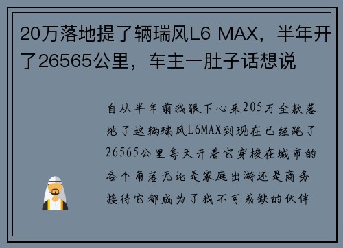 20万落地提了辆瑞风L6 MAX，半年开了26565公里，车主一肚子话想说