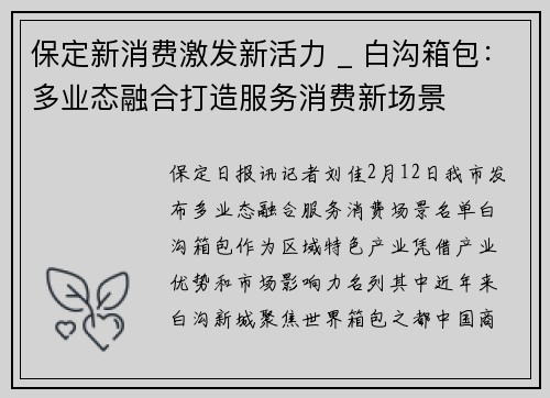 保定新消费激发新活力 _ 白沟箱包：多业态融合打造服务消费新场景