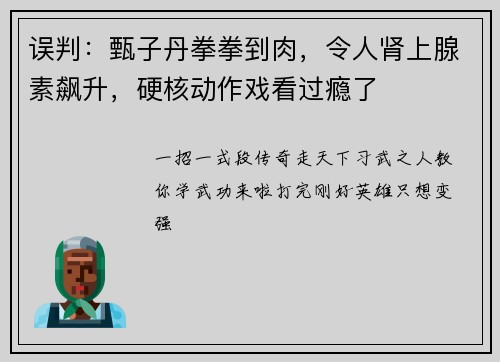 误判：甄子丹拳拳到肉，令人肾上腺素飙升，硬核动作戏看过瘾了