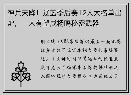 神兵天降！辽篮季后赛12人大名单出炉，一人有望成杨鸣秘密武器